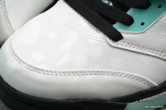 1st Kicks Shoes 5 Island GoAnywhere CN2932- Jordan Air Green 1087 1127